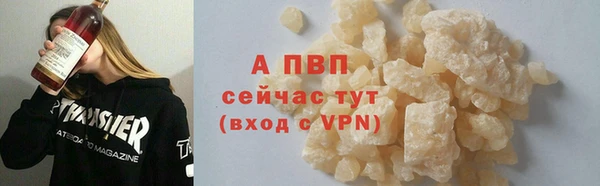 гашик Баксан