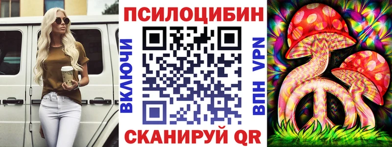 наркота  мега ссылка  Галлюциногенные грибы MAGIC MUSHROOMS  Губкинский 