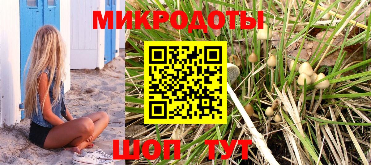 Губкинский  Галлюциногенные грибы мицелий  Вход с VPN 