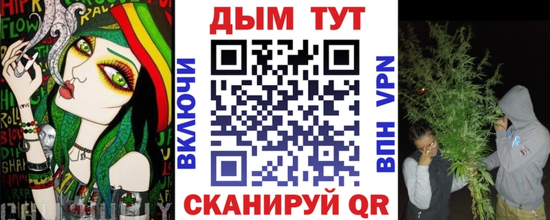 Бошки Шишки семена  Губкинский 